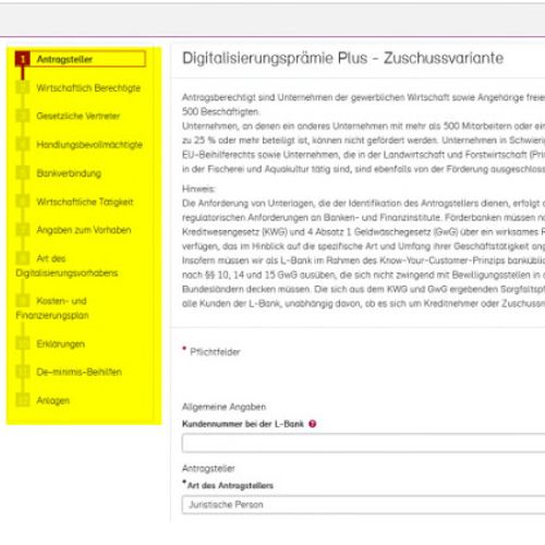 Screenshot der Antragsstellung, links ist eine Übersicht der einzelnen Schritte zu sehen