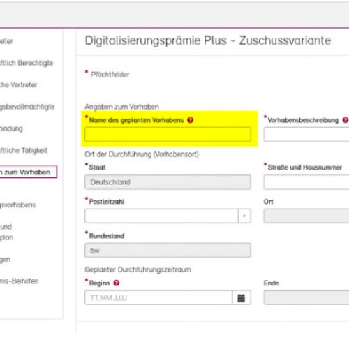Screenshot der Antragsstellung beim Schritt Angaben zum Vorhaben, das Feld Name des geplanten Vorhabens ist gelb hervorgehoben