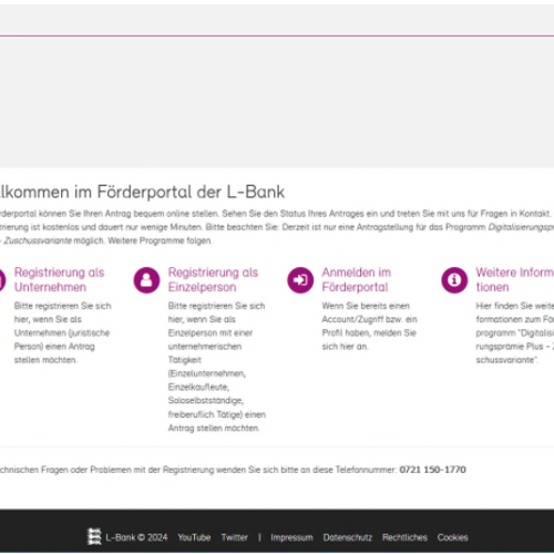 Screenshot der Startseite des Förderportals mit den vier Optionen Registrierung als Unternehmen, Registrierung als Einzelperson, Anmelden im Förderportal und Weitere Informationen