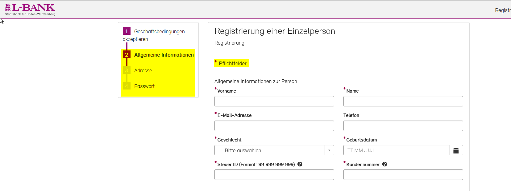 Screenshot des Registrierungsformulars, die einzelnen Schritte und das Sternchen als Markierung der Pflichtfelder sind gelb hervorgehoben