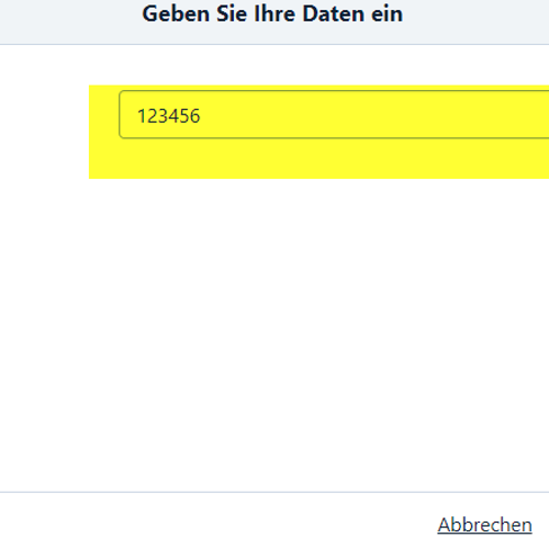 Screenshot der Eingabe der TAN-Nummer, die gelb hervorgehoben ist. Der Weiter-Button unten rechts ist ebenfalls gelb markiert.